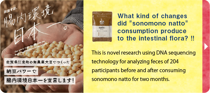 The health effects of sonomono natto consumption
