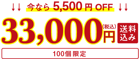 今なら5,500円OFF 33,000円(税込・送料込み) 100個限定