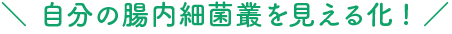 自分の腸内細菌叢を見える化！