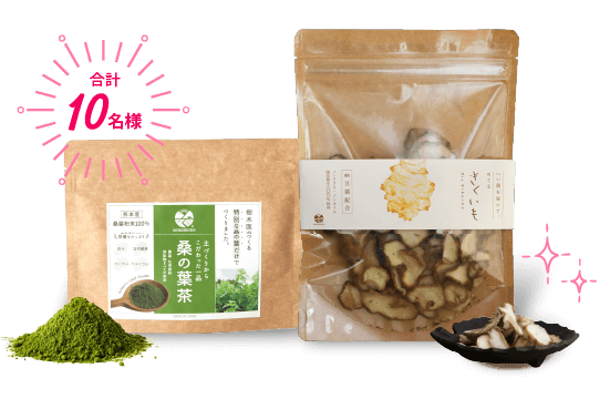桑の葉茶とドライきくいものセットが抽選で10名様に当たる!