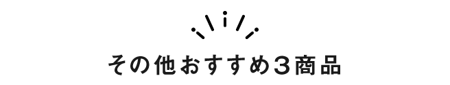 その他おすすめ3商品