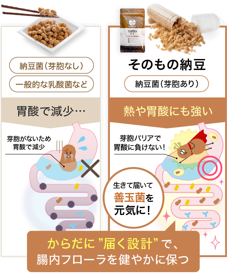そのもの納豆,芽胞あり,熱や胃酸にも強い