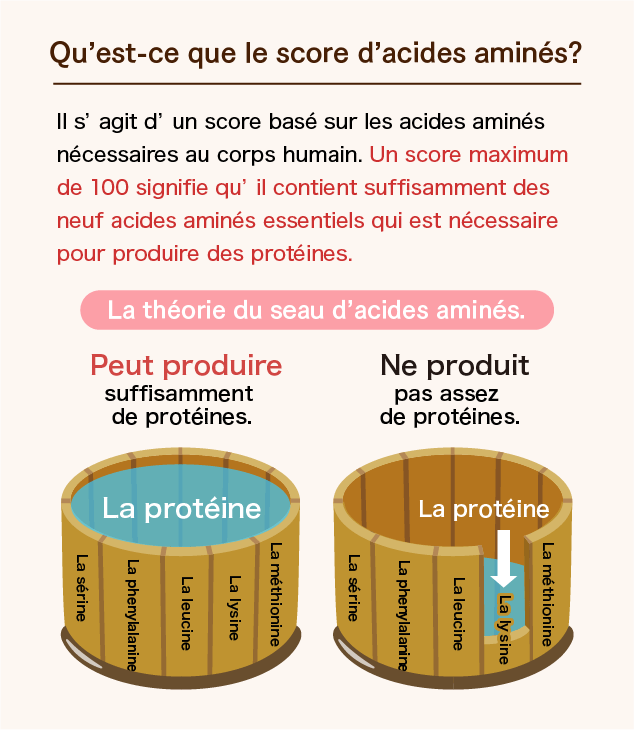 Qu’est-ce que le score d’acides aminés?