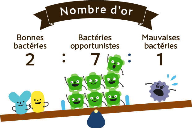 Nombre d’or