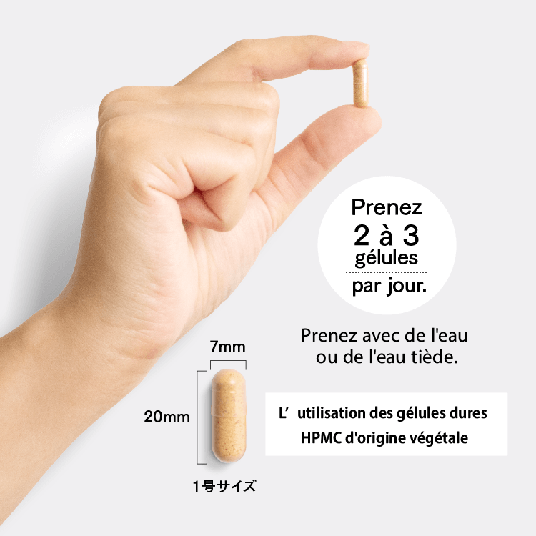Prenez 2 à 3 gélules par jour