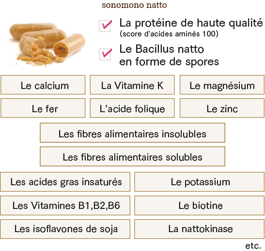probiotiques, Le vitamine K, La nattokinase