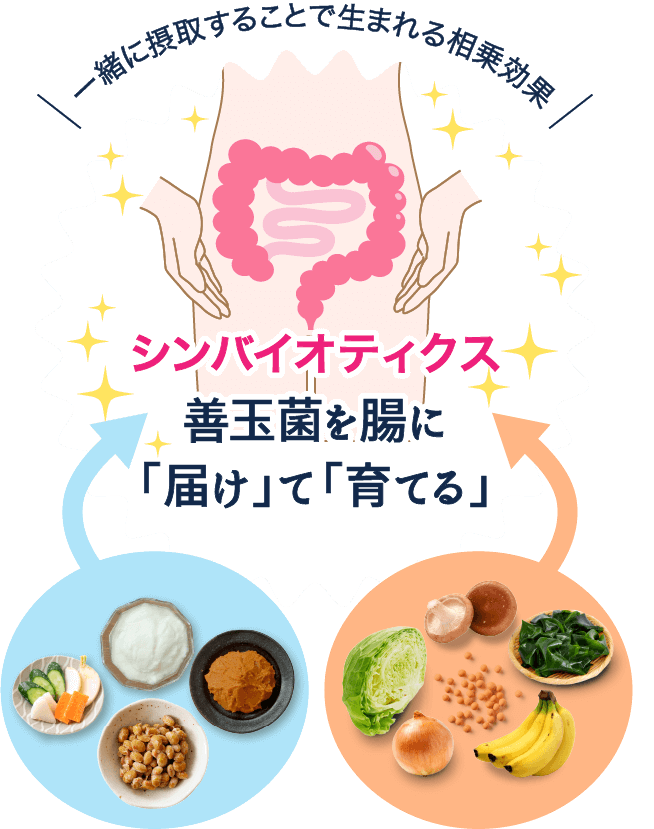 シンバイオティクスは、善玉菌を腸に「届け」て「育てる」