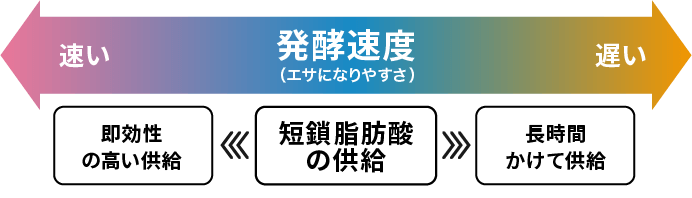 短鎖脂肪酸の供給と、発酵性食物繊維の発酵速度