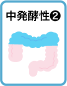 中発酵性食物繊維