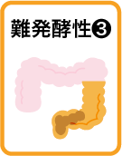 難発酵性食物繊維