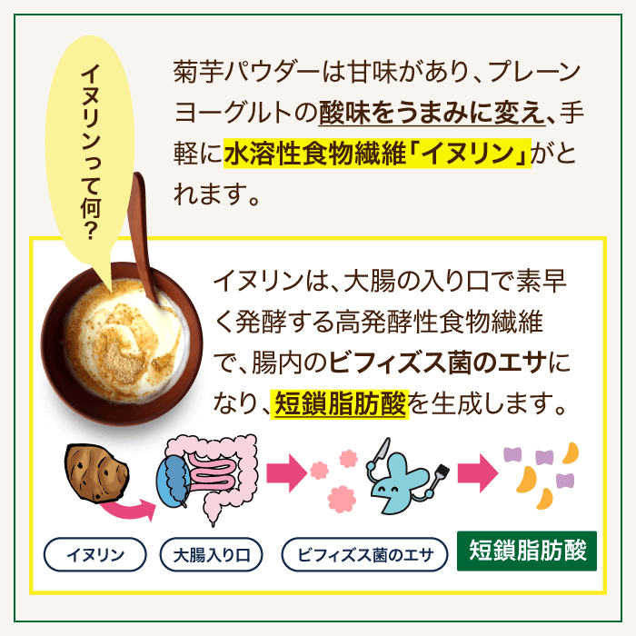 イヌリンって何?水溶性食物繊維について