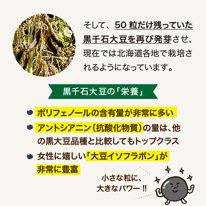 黒千石大豆とは?②