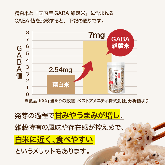 GABAとは？②
